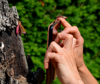 fremont-count-citizen-science-project-hd