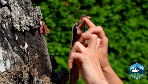 fremont-count-citizen-science-project-hd