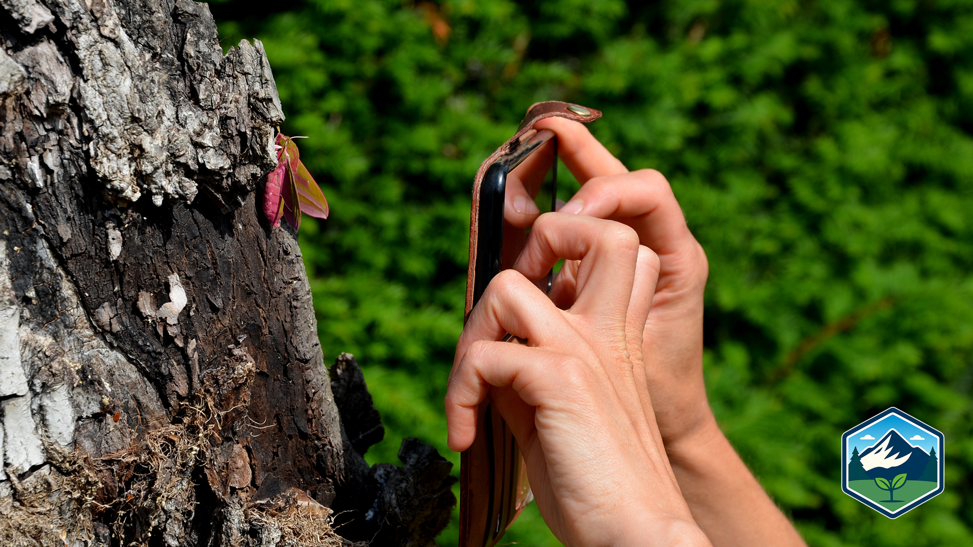 fremont-count-citizen-science-project-hd