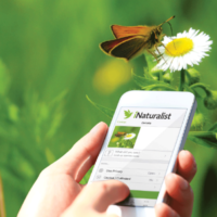 Help document the plants, animals, and insects of Observer Ranch while contributing to real scientific data.