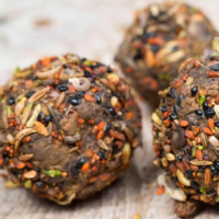 Learn how to collect and use native, drought-resistant seeds, then make seed bombs to take home or scatter on the land.