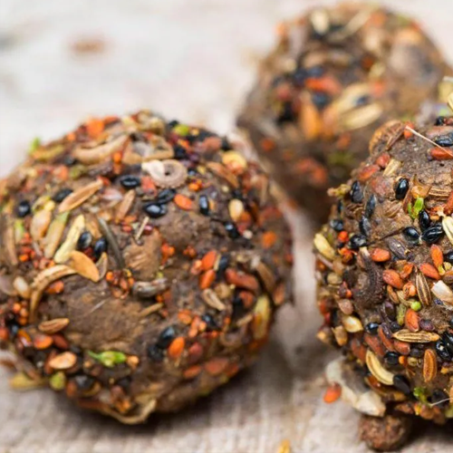 Learn how to collect and use native, drought-resistant seeds, then make seed bombs to take home or scatter on the land.
