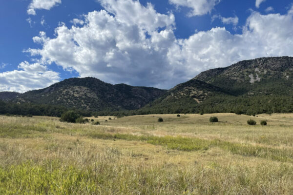 land